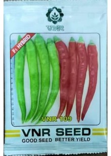 VNR 109 Chilli  